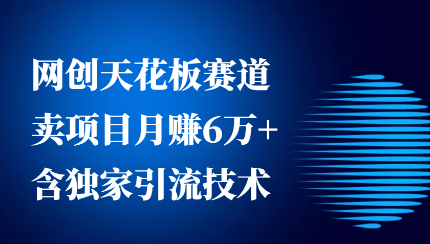 网创天花板赛道，卖项目月赚6万+，含独家引流技术(共26节课)-云网创