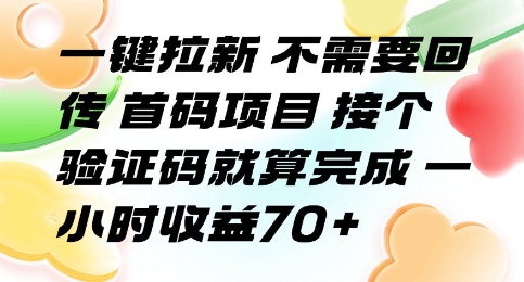 一键拉新 不需要回传 首码项目 接个验证码就算完成 一小时收益70+【揭秘】