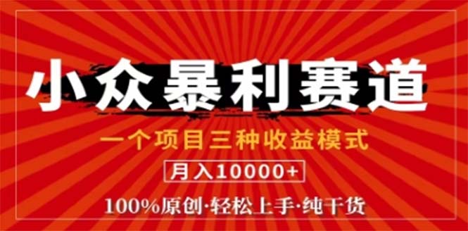 视频号最新爆火赛道，三种可收益模式，0粉新号条条原创条条热门 日入1000+-云网创