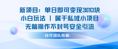 新项目单日即可变现3张的小白玩法无脑操作不封号安全引流-云网创