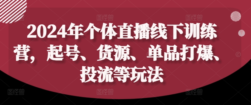 2024年个体直播训练营，起号、货源、单品打爆、投流等玩法-云网创