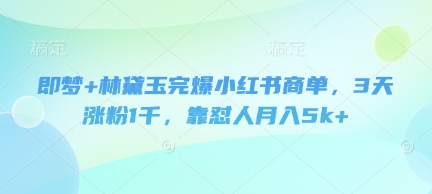 即梦+林黛玉完爆小红书商单，3天涨粉1千，靠怼人月入5k+-云网创