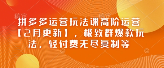 拼多多运营玩法课高阶运营【2月更新】，极致群爆款玩法，轻付费无尽复制等-云网创