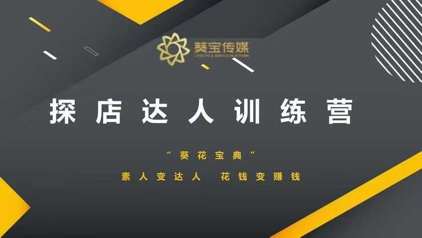 探店达人训练营，素人变达人，花钱变赚钱-云网创