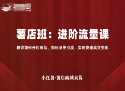 小红薯薯店商城卖货，进阶流量课，教你如何开店选品、如何系统引流，实现快速卖货变现-云网创