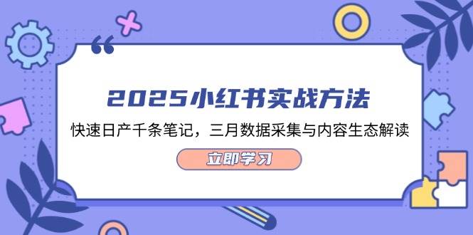 2025小红书实战方法，快速日产千条笔记，三月数据采集与内容生态解读-云网创