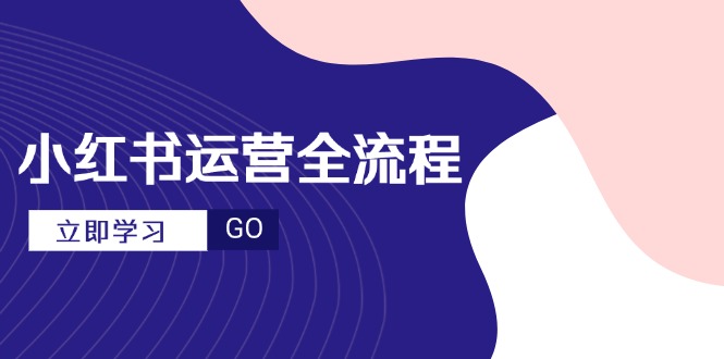 小红书运营全流程，爆款选题文案，视频制作技巧，进阶达人宝典-云网创