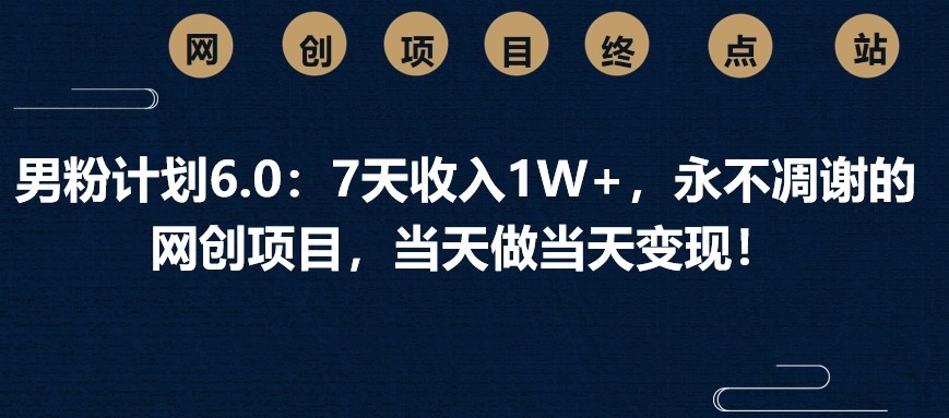 男粉计划6.0：7天收入1W+，永不凋谢的网创项目，当天做当天变现！-云网创