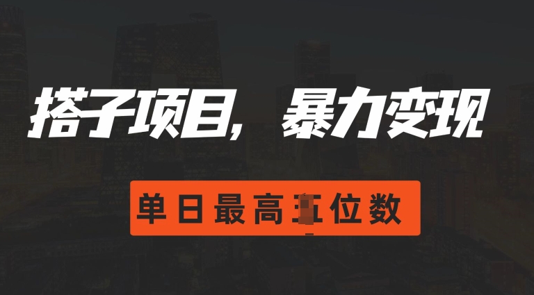 2024搭子玩法，0门槛，暴力变现，单日最高破四位数【揭秘】-云网创