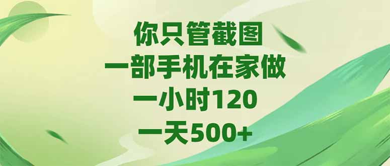你只管截图，一部手机在家做，一小时120，-天500+-云网创