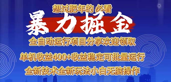 2025暴力掘金项目，想过肥年必看！-云网创