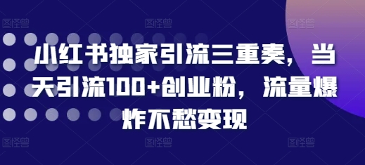 小红书独家引流三重奏，当天引流100+创业粉，流量爆炸不愁变现【揭秘】-云网创