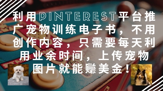 利用Pinterest平台推广宠物训练电子书,不用创作内容,只需要每天利用业余时间,上传宠物图片就能挣美金!