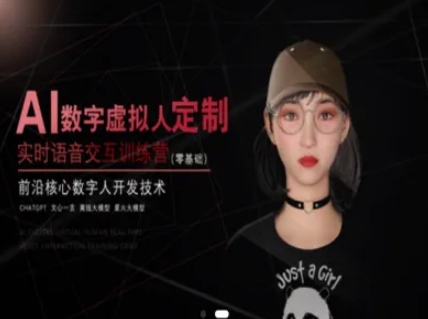 AI数字虚拟人定制，实时语音交互训练营(零基础)，前沿核心数字人开发技术-云网创