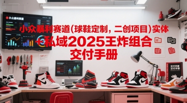 小众暴利赛道(球鞋定制，二创项目)实体+私域2025王炸组合  交付手册-云网创