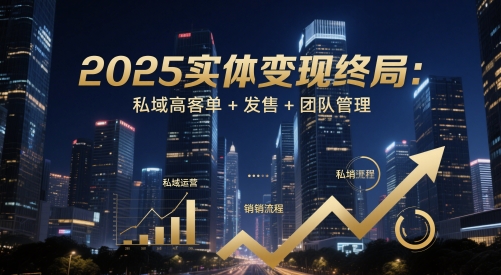 2025实体变现终局：私域高客单+发售+团队管理-云网创