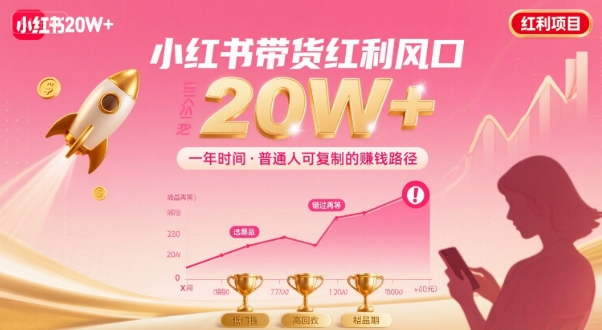 一年时间靠小红书带货项目年入20w+，最不能错的大红利项目-云网创