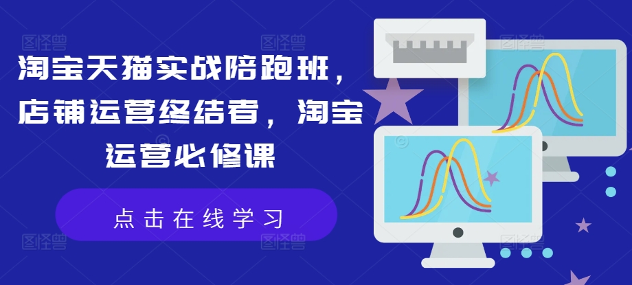 淘宝天猫实战陪跑班，店铺运营终结者，淘宝运营必修课-云网创