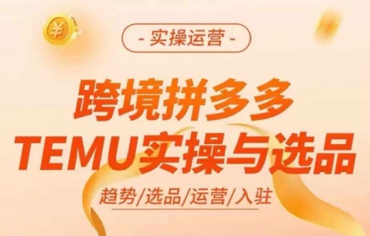 跨境拼多多TEMU实操与选品，多多temu跨境选品运营实操-云网创