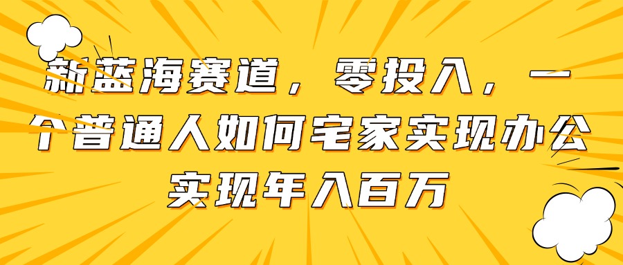 新蓝海赛道，零投入，一个普通人如何宅家办公实现年入百万-云网创