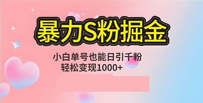 单人单机日引千粉，变现1000+，S粉流量掘金计划攻略-云网创