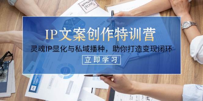 IP文案创作特训营，灵魂IP显化与私域播种，助你打造变现闭环(14节课)-云网创
