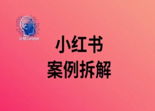 小红书案例拆解，深度解读小红书40万粉-云网创