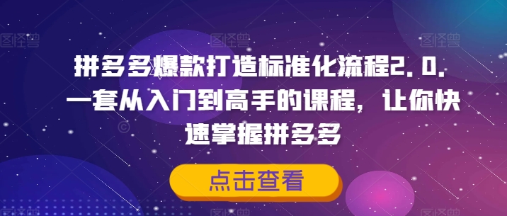 拼多多爆款打造标准化流程2.0，一套从入门到高手的课程，让你快速掌握拼多多-云网创