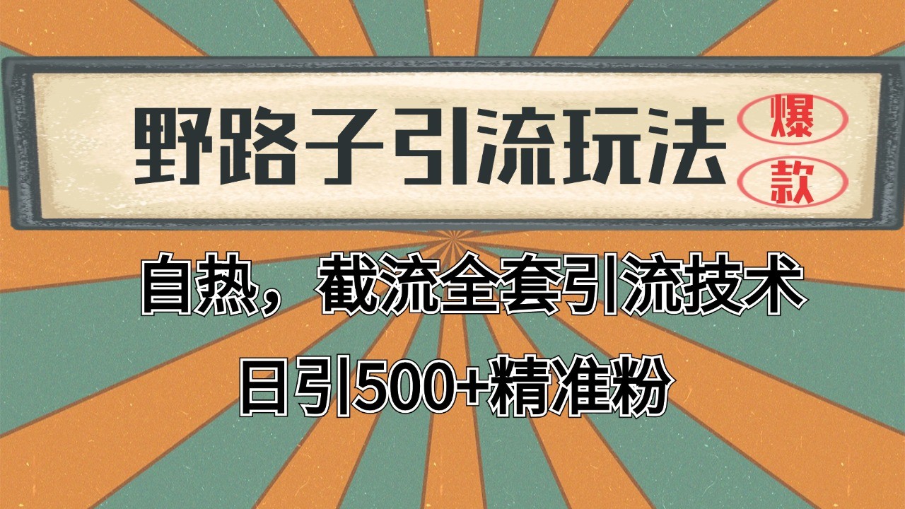 2024首发野路子引流玩法截流自热全平台打法，全自动引流【日引2000+精准客户】-云网创