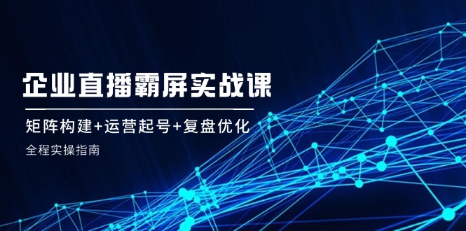 企业直播霸屏实战课：矩阵构建+运营起号+复盘优化，全程实操指南-云网创