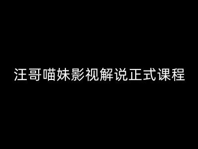汪哥影视解说正式课程：剪映/PR教学/视解说剪辑5大黄金法则/全流程剪辑7把利器等等-云网创