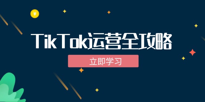 TikTok实战运营全攻略：从下载软件到变现，抖音海外版实操教程-云网创