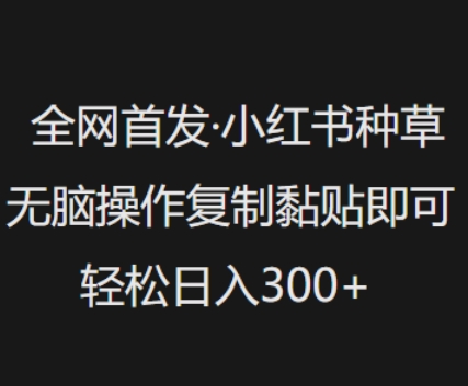 全网首发，小红书种草无脑操作，复制黏贴即可，轻松日入3张-云网创