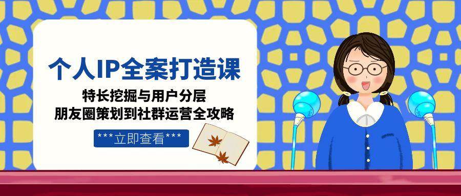 个人IP全案打造课，特长挖掘与用户分层，朋友圈策划到社群运营全攻略-云网创