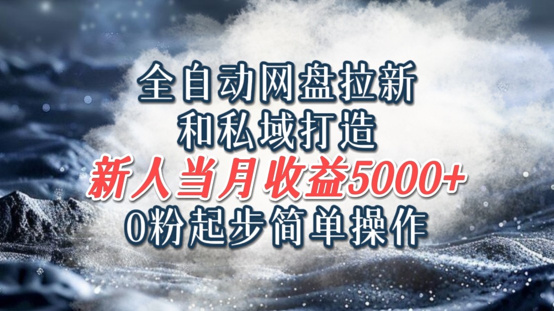 全自动网盘拉新和私域打造，0粉起步简单操作，新人入门当月收益5000以上-云网创