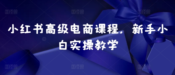 小红书高级电商课程，新手小白实操教学-云网创