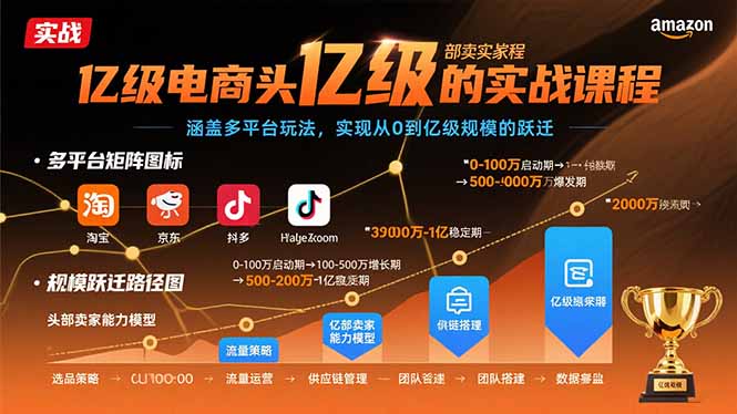 亿级电商头部卖家的实战课程：涵盖多平台玩法，实现从0到亿级规模的跃迁-云网创