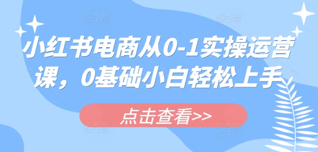 小红书电商从0-1实操运营课，0基础小白轻松上手-云网创
