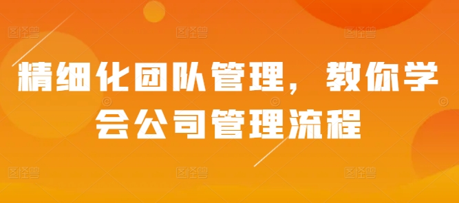 精细化团队管理,教你学会公司管理流程