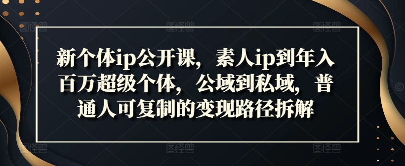 新个体ip公开课，素人ip到年入百万超级个体，公域到私域，普通人可复制的变现路径拆解-云网创