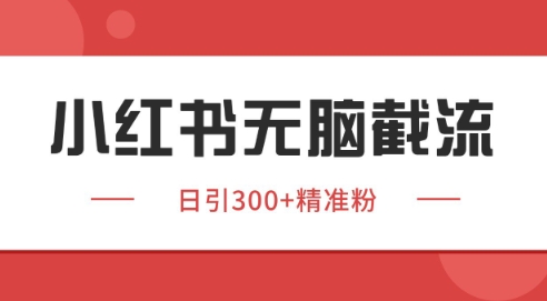 小红书截流同行客源，独家野路子获客玩法 日引200+暴力获客【揭秘】-云网创