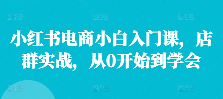 小红书电商小白入门课，店群实战，从0开始到学会-云网创