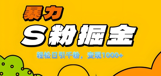 单人单机日引千粉，变现1k+，S粉流量掘金计划攻略【揭秘】-云网创