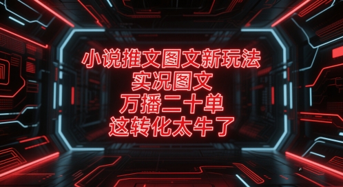 小说推文图文新玩法，实况图文，万播二十单，这转化太牛了！-云网创