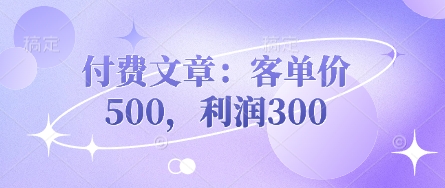付费文章：客单价500，利润300-云网创