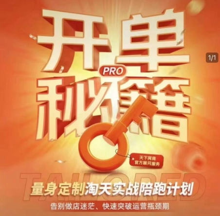 淘宝开单秘籍PRO，量身定制淘天实战陪跑计划，告别做店迷茫、快速突破运营瓶颈期(更新)-云网创