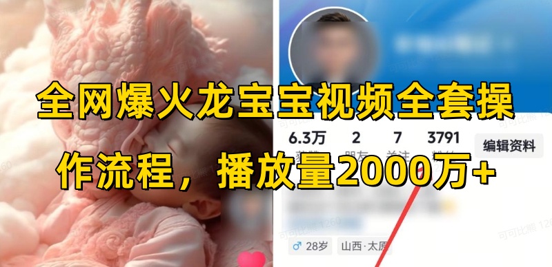 全网爆火龙宝宝视频全套操作流程，播放量2000万+-云网创