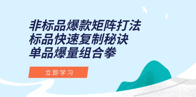 非标品爆款矩阵打法，标品快速复制秘诀，单品爆量组合拳-云网创