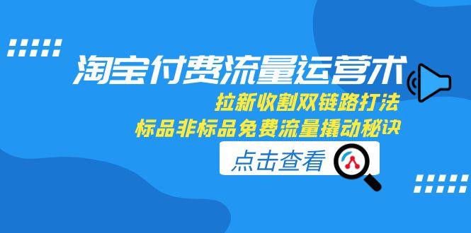 淘宝付费流量运营术，拉新收割双链路打法，标品非标品免费流量撬动秘诀-云网创