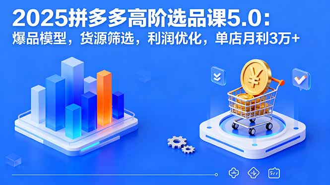 2025拼多多高阶选品课5.0：爆品模型，货源筛选，利润优化，单店月利3万+-云网创